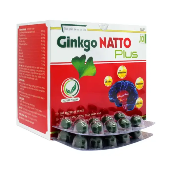 Ginkgo Natto Plus