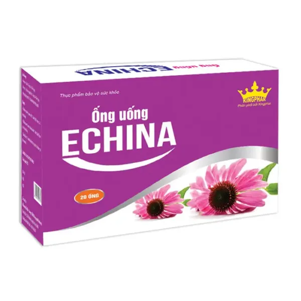 Nước uống Kingphar Echina 20 ống