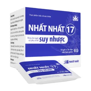 Nhất Nhất 17 10 gói x 16 viên