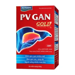 PV Gan 60 viên