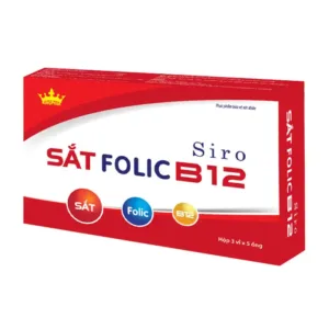 Siro Sắt Folic B12 Kingphar 15 ống