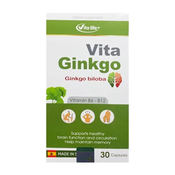 Vita Ginkgo Vita Life 2 vỉ x 15 viên